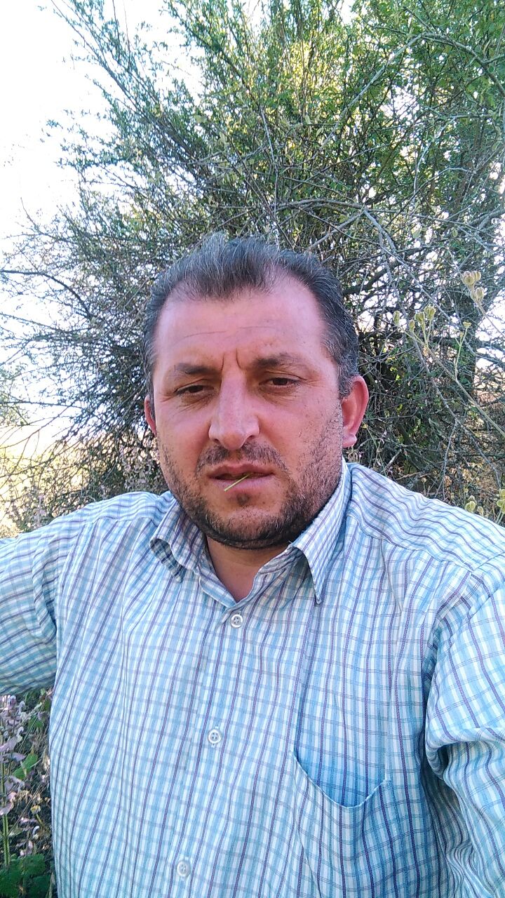 SABAN DINÇ